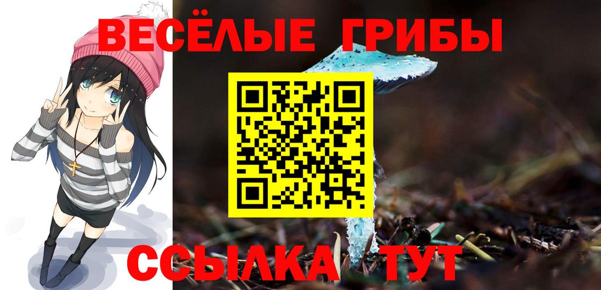 Псилоцибиновые грибы Cubensis Кизилюрт